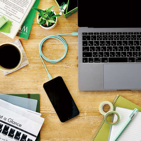 USB-C to Lightning кабель 1.0m 24 дюймовый iMac соответствующий . цвет iPhone. высокая скорость зарядка . соответствует Apple. стандартный лицензия . получение : U2C-APCL10GN