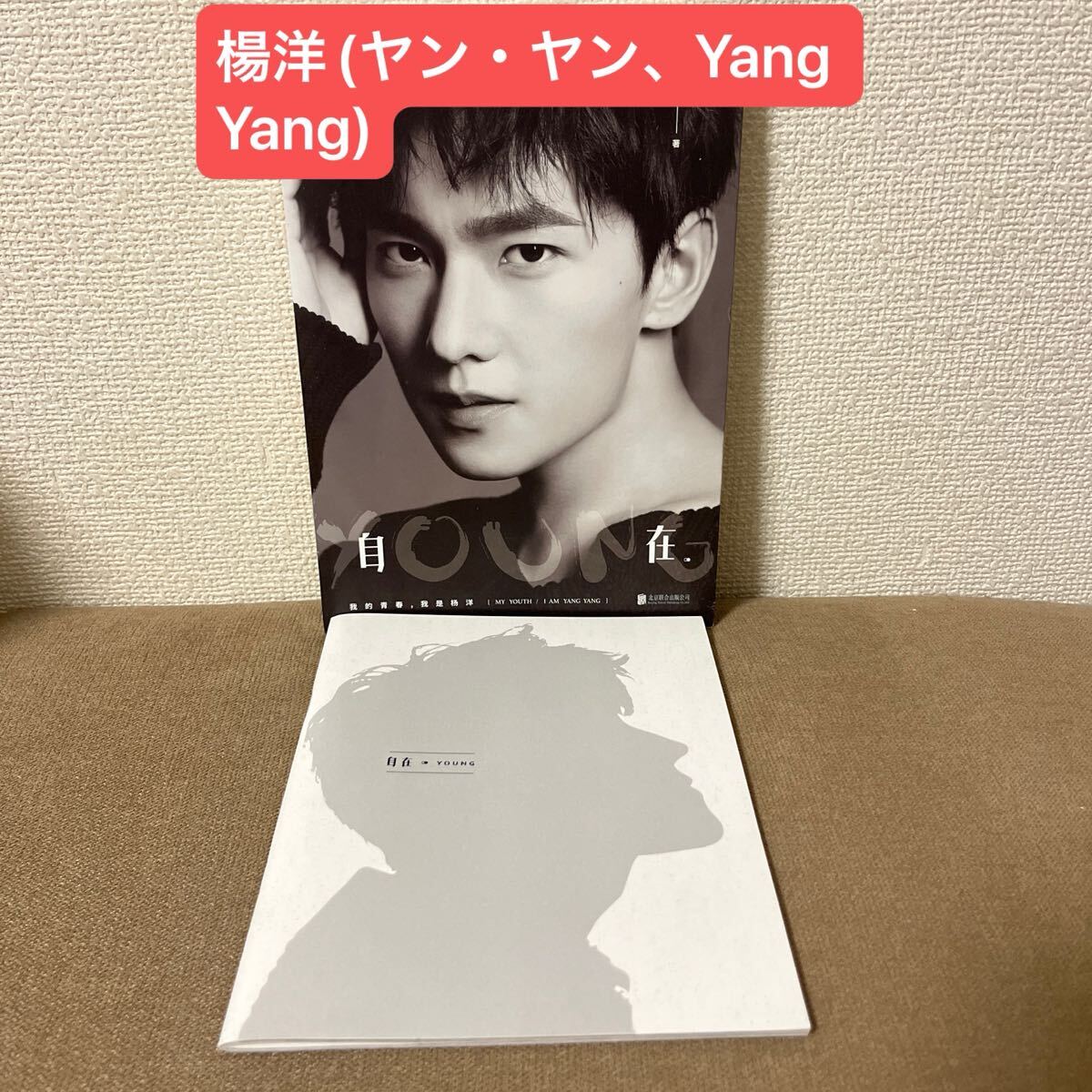 中国俳優　楊洋(ヤン・ヤン、Yang Yang)「自在YOUNG」写真集