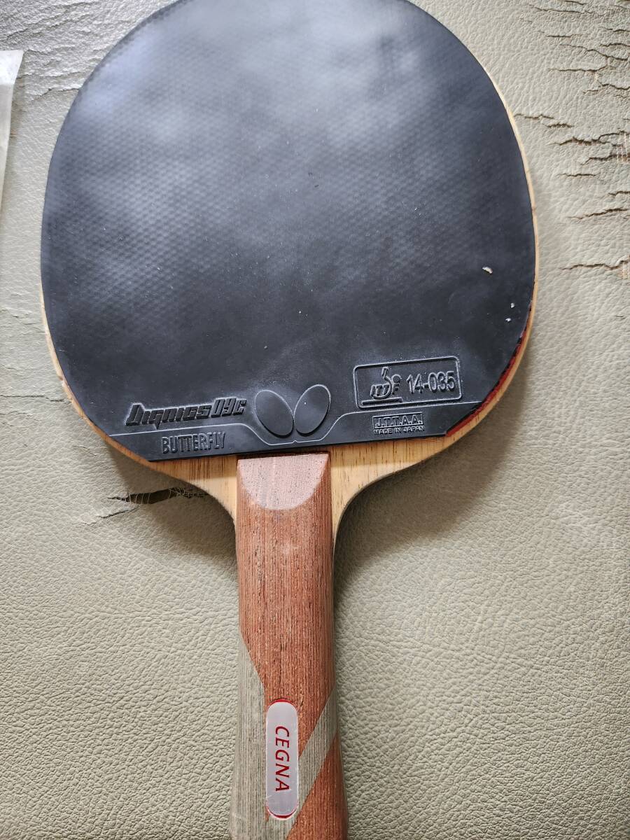 ダーカーセグナFL中古ディグニクス09Cとディグニクス80ラバー付き