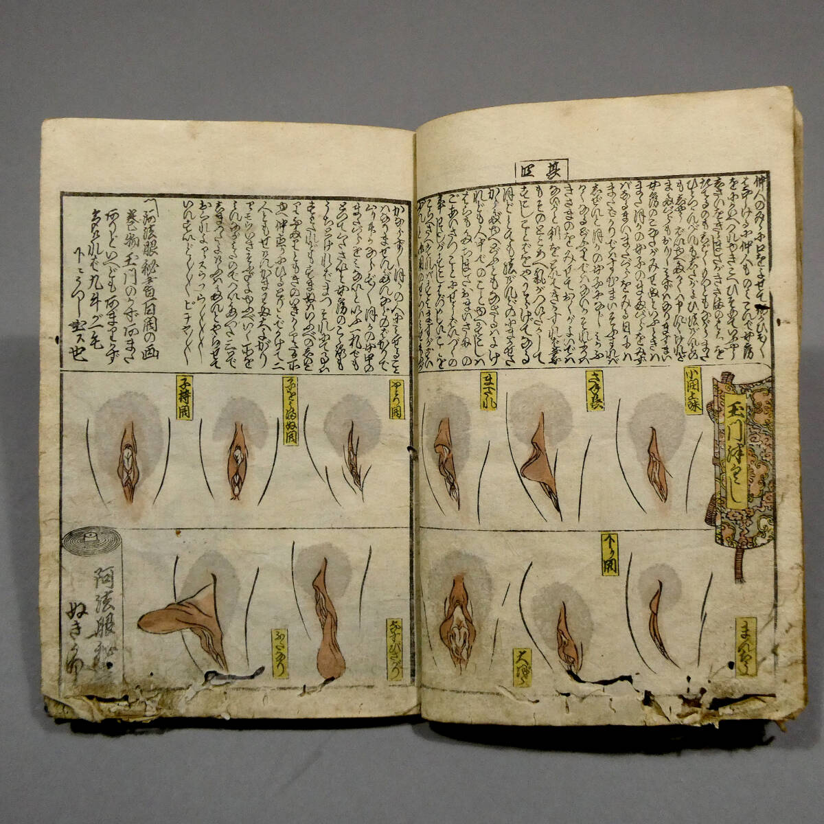 歌川国貞 色摺り春画13面◇江戸時代 木版艶本 和本◇「艶本色 歌川国貞 色摺り春画13面◇江戸時代 木版艶本 和本◇「艶本色