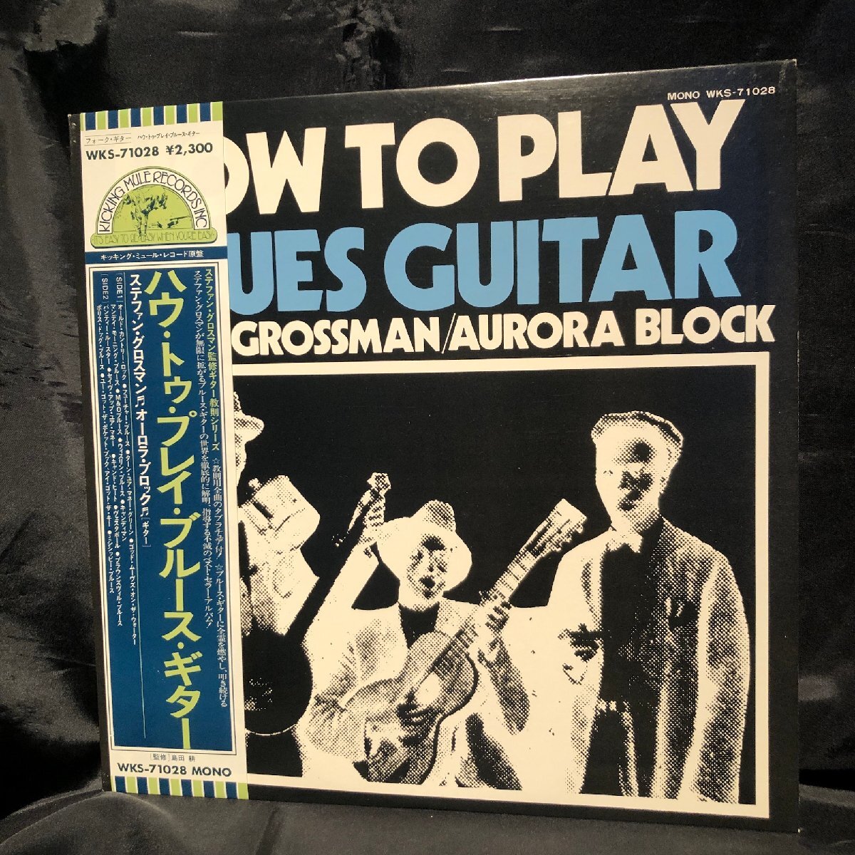 Stefan Grossman Aurora Block / How To Play Blues Guitar LP Kicking Mule Records ・toshiba-emi