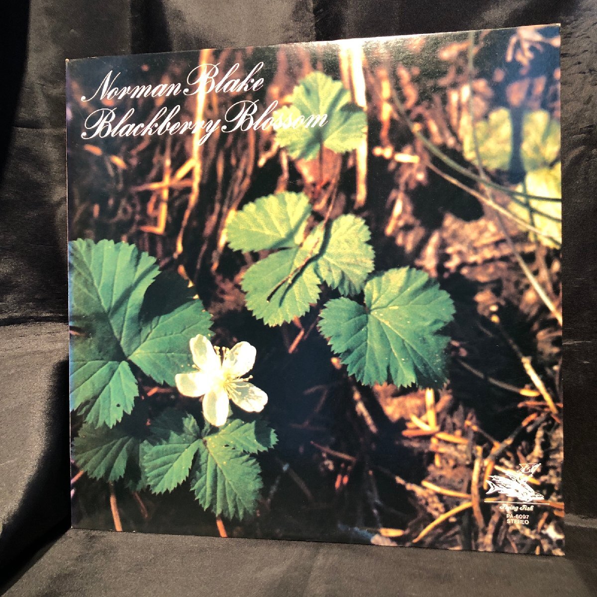 Norman Blake / Blackberry Blossom LP Flying Fish Records ・Trio Records
