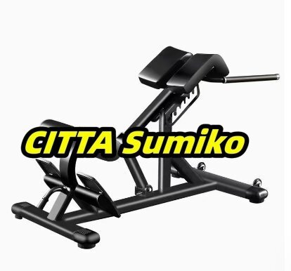 ホームジム用の折りたたみ式腹部トレーニングエクササイズ用の頑丈な調(diào)整可能なバックエクステンションエクササイズ機器