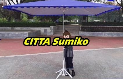 実用便利 ガーデンパラソル 吊り下げ ガーデニング サンシェード 日よけ 遮光
