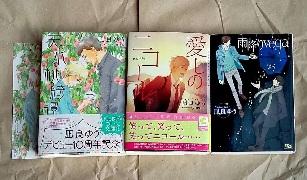 【3冊】愛しのニコール 雨降りvega 天水桃綺譚 凪良ゆう yoco 希少レア 小説 BL ★ 美品 中古本 LVDBL