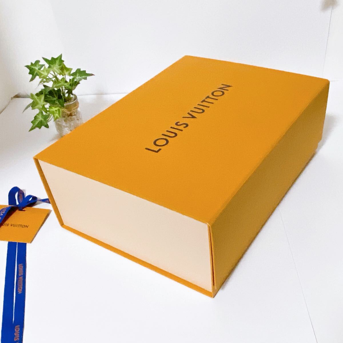 ルイヴィトン「LOUIS VUITTON」バッグ用空箱・保存袋 ルイヴィトン「LOUIS VUITTON」バッグ用空箱・保存袋