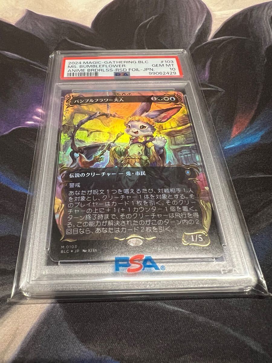 12920円 ○MTG○ LE エルダードラゴン(英語) 5種5枚セット - 金 12920円 ○MTG○ LE エルダードラゴン(英語) 5種5枚セット - 金