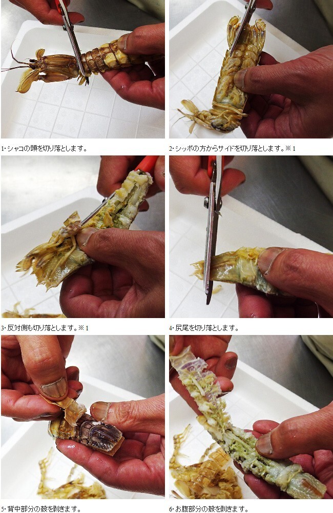 シャコ10尾オス(北海道小樽産 石狩灣)しゃこ ガザエビ(北海道産蝦蛄)浜茹で ボイルシャコ(釜茹で) おたる しゃこ【送料無料】
