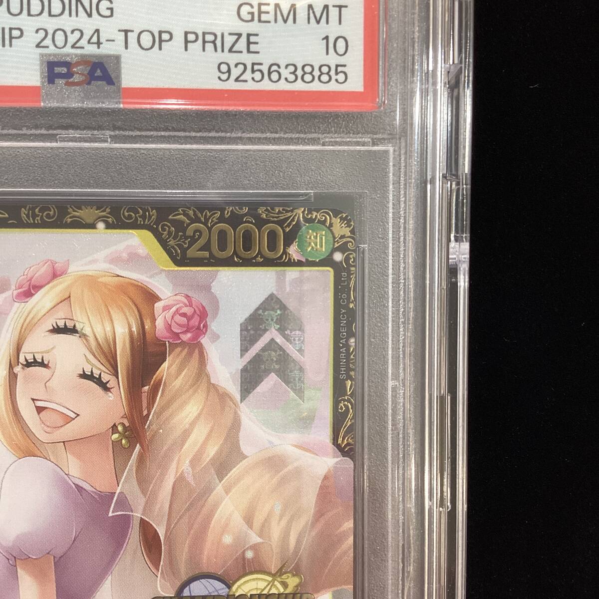 PSA10】シャーロット・プリン:チャンピオンシップ2024 WAVE1 PSA10】シャーロット・プリン:チャンピオンシップ2024 WAVE1