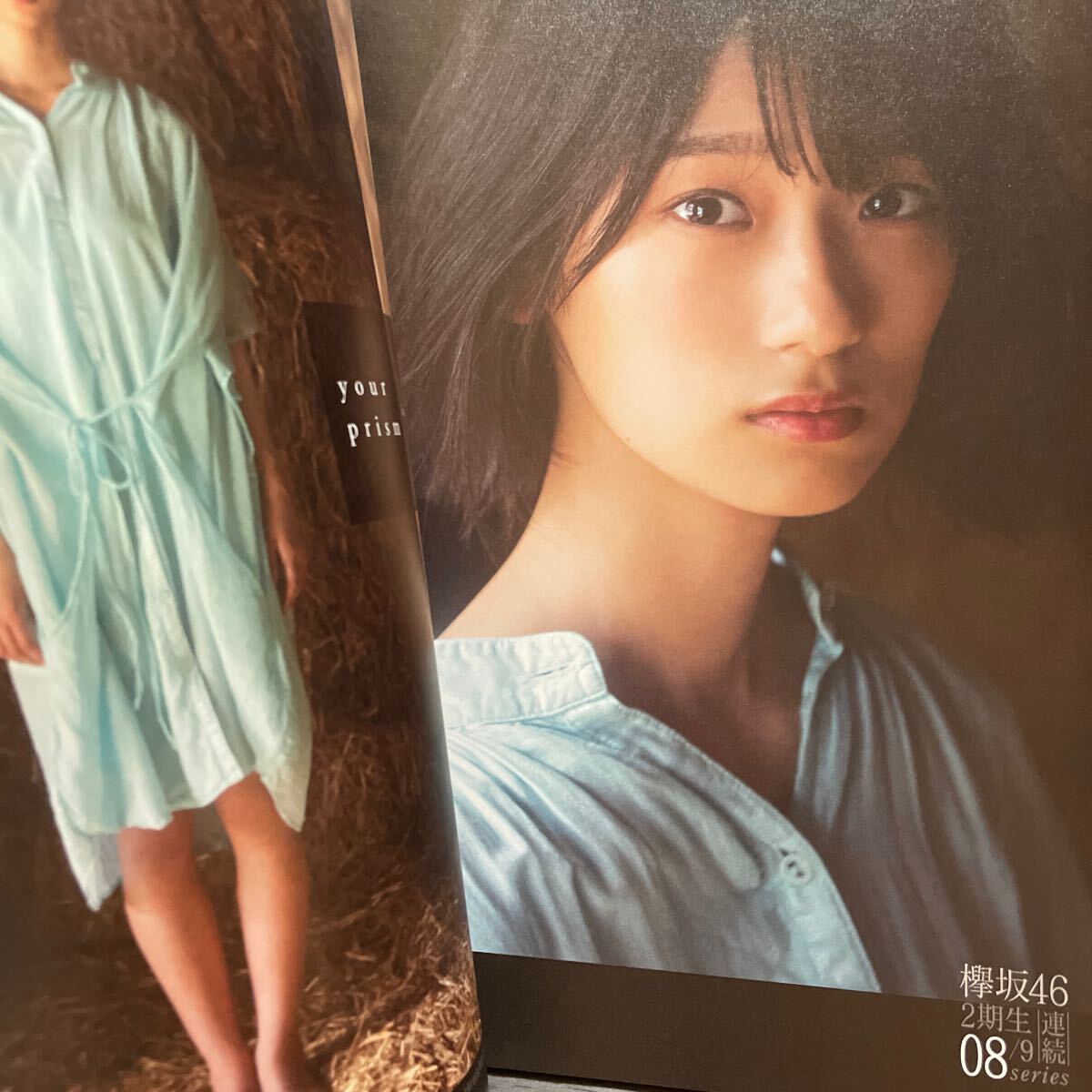 Be L чай graph vol.48 (2019OCTOBER)