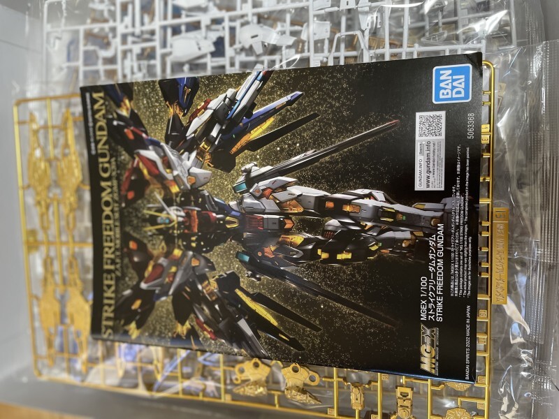 未開封」MGEX 機動戦士ガンダムSEED DESTINY ストライク 未開封」MGEX 機動戦士ガンダムSEED DESTINY ストライク