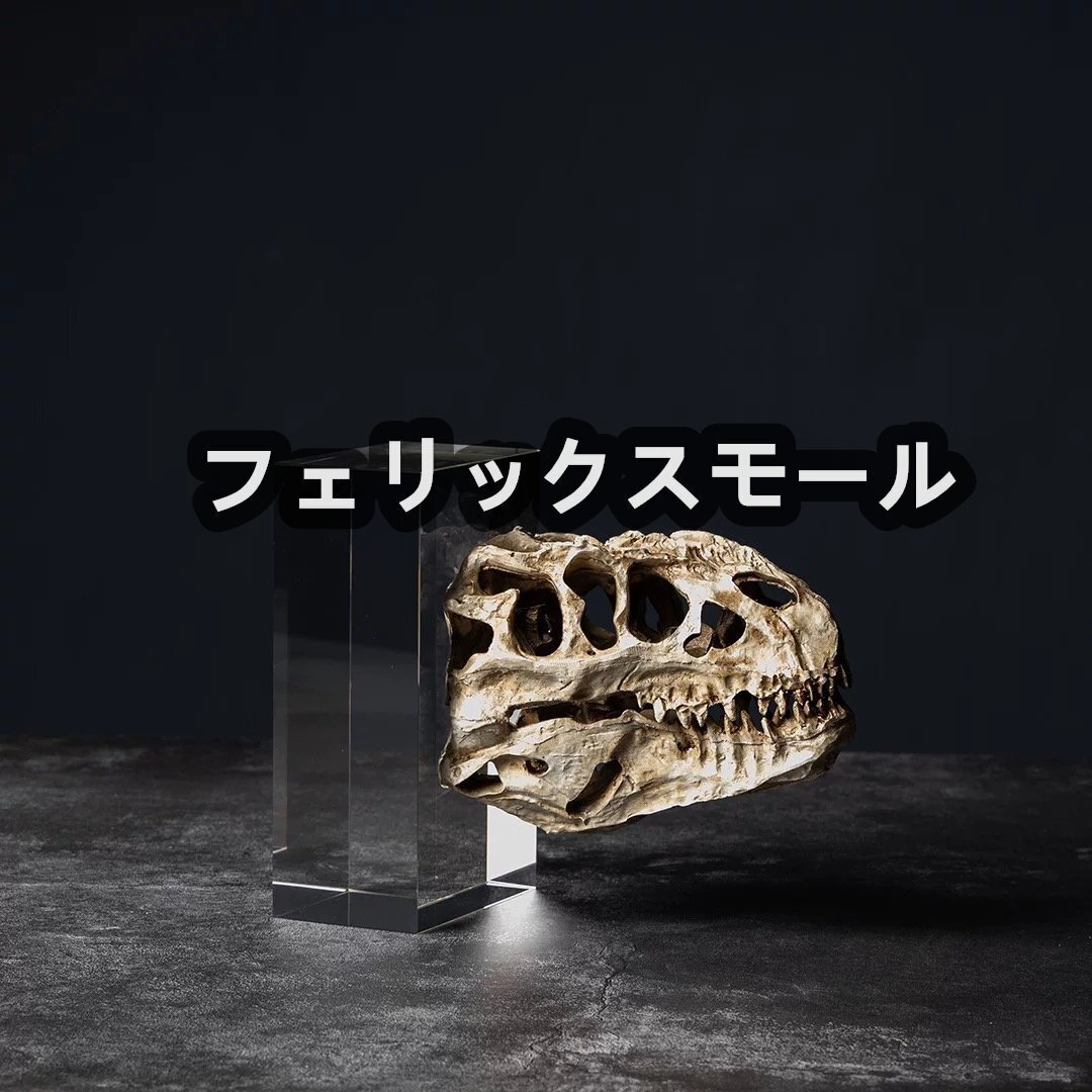 13413円 書斎用 ビンテージ ステゴサウルスの頭骨 ダブルコーン 13413円 書斎用 ビンテージ ステゴサウルスの頭骨 ダブルコーン
