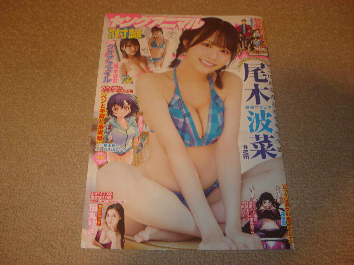 尾木波菜　切り抜き　ヤングアニマル