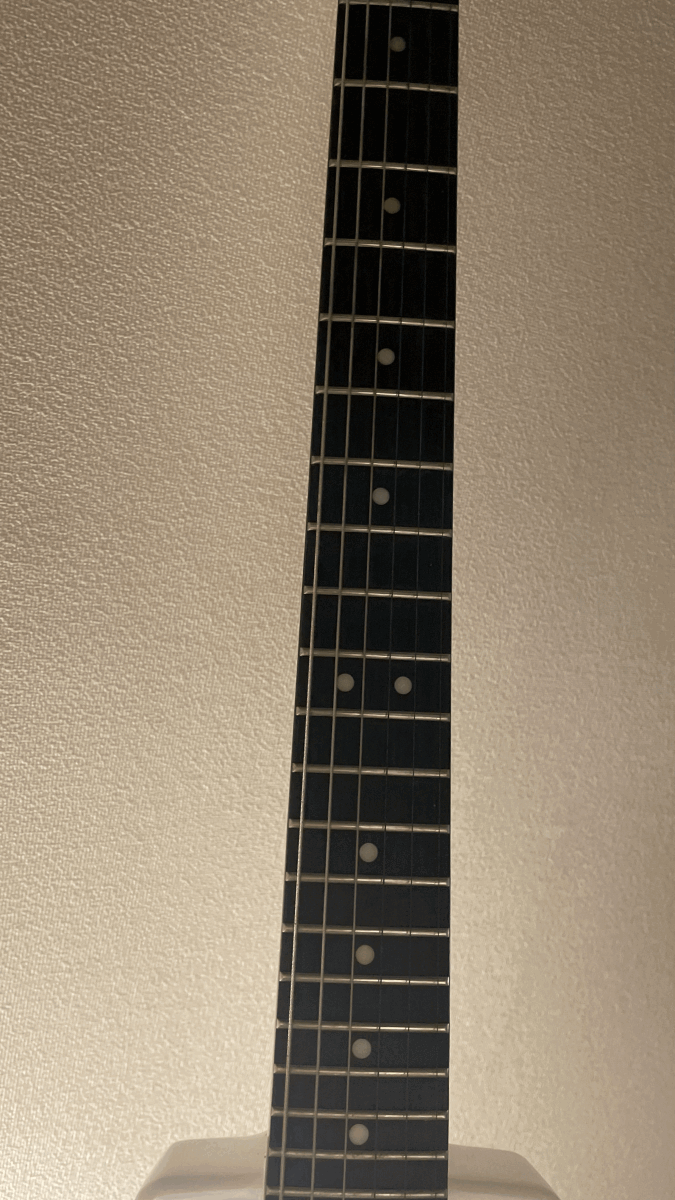 STEINBERGER SPIRIT GT-PRO DELUXE старт Inver ga- Spirit 
