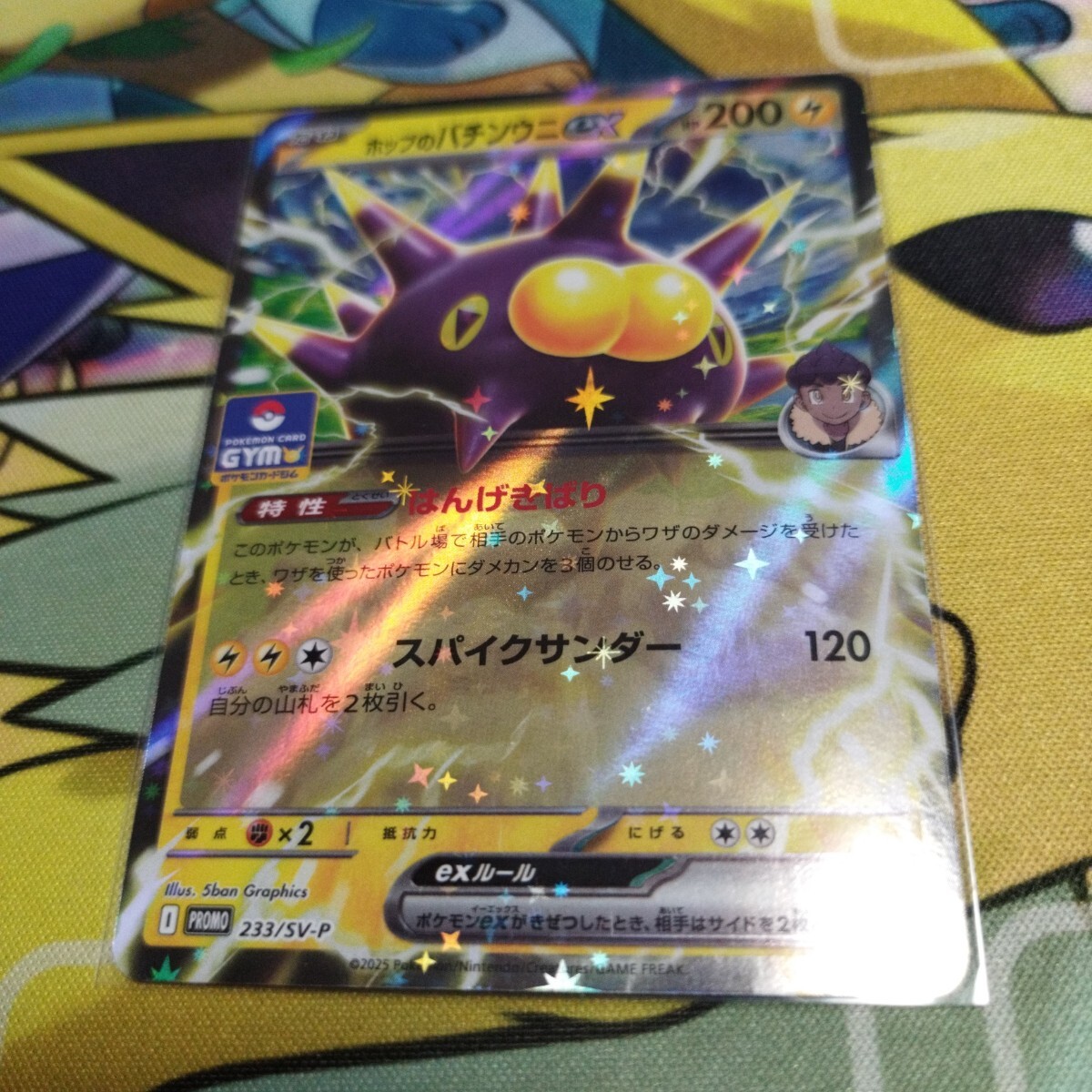 ホップのバチンウニ プロモ 検索ワード、ポケモンカード ホップ ホップのバチンウニ プロモ 検索ワード、ポケモンカード ホップ