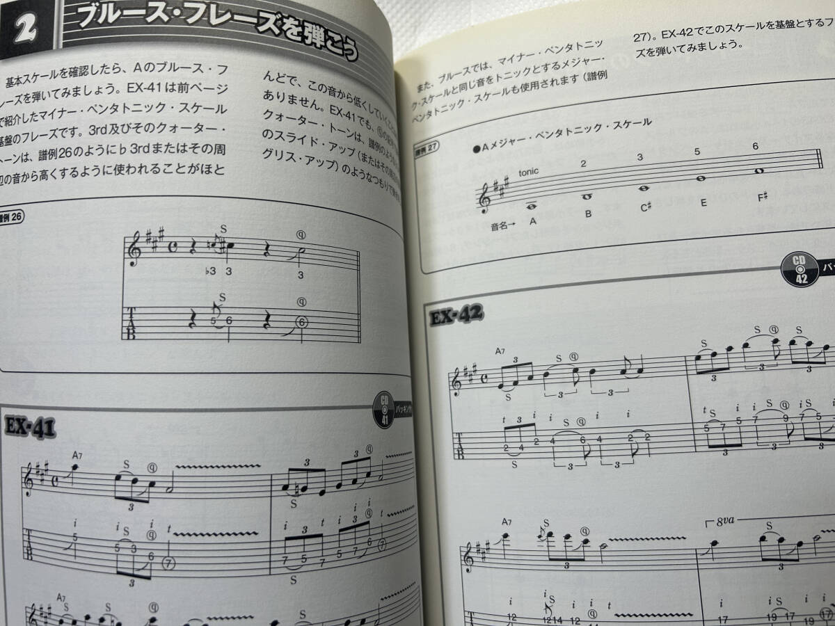 プロもほじがるスライドの本　　ギター