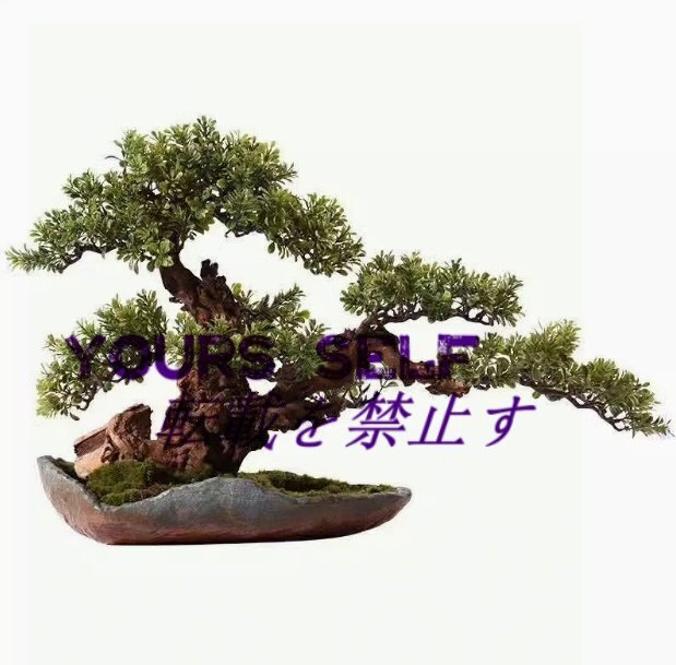 蕓術(shù) ．高級模造迎客松盆栽 置物 禪意迎客松盆栽裝飾品 大型 人工盆栽 松の木 ．天然の太干