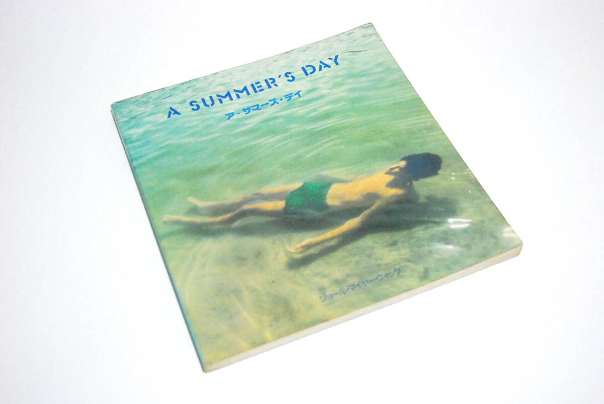 Joel Meyerowitz A Summer's Day / ジョエル・マイロウィッツ、スティーブン・ショア、ジョエル・スタンフェルド、アレック・ソス