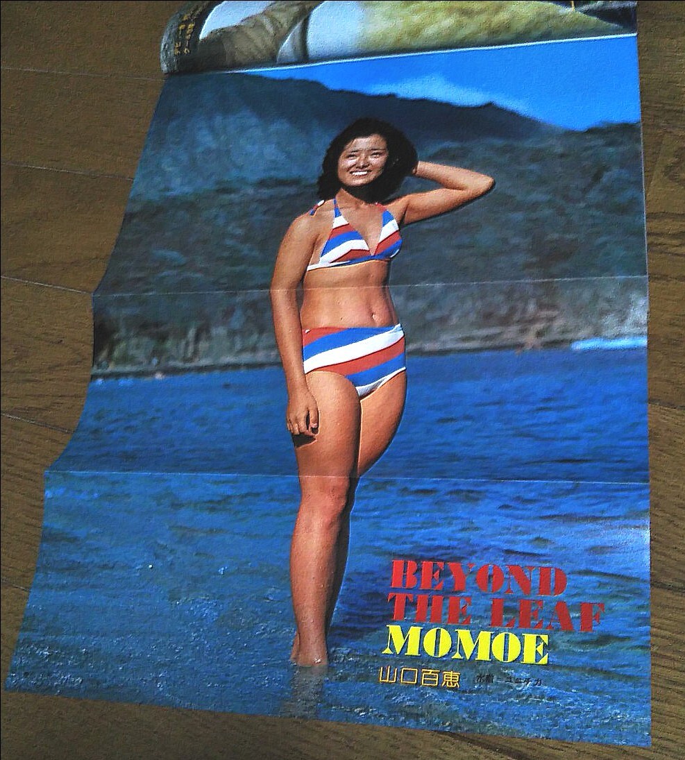 岩崎宏美　水着 