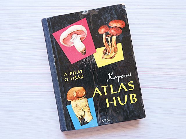 ★チェコスロバキア/ヴィンテージきのこ図鑑/キノコ/1964年/ボタニカルアート★洋書図鑑/洋書本/チェコ語★