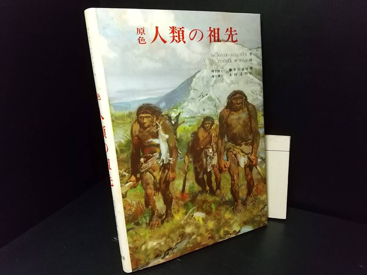 【18%OFF】 鬼レア!!】「原色 岩崎書店刊 人類の祖先」昭和38年初版 生物学