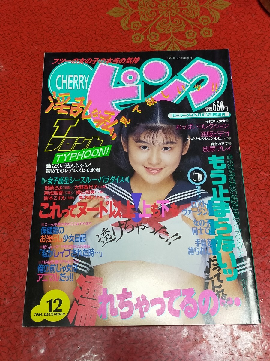 雑誌】CHERRY ピンク セーラーメイトDX 12月号増刊 1994年 東京 雑誌】CHERRY ピンク セーラーメイトDX 12月号増刊 1994年 東京