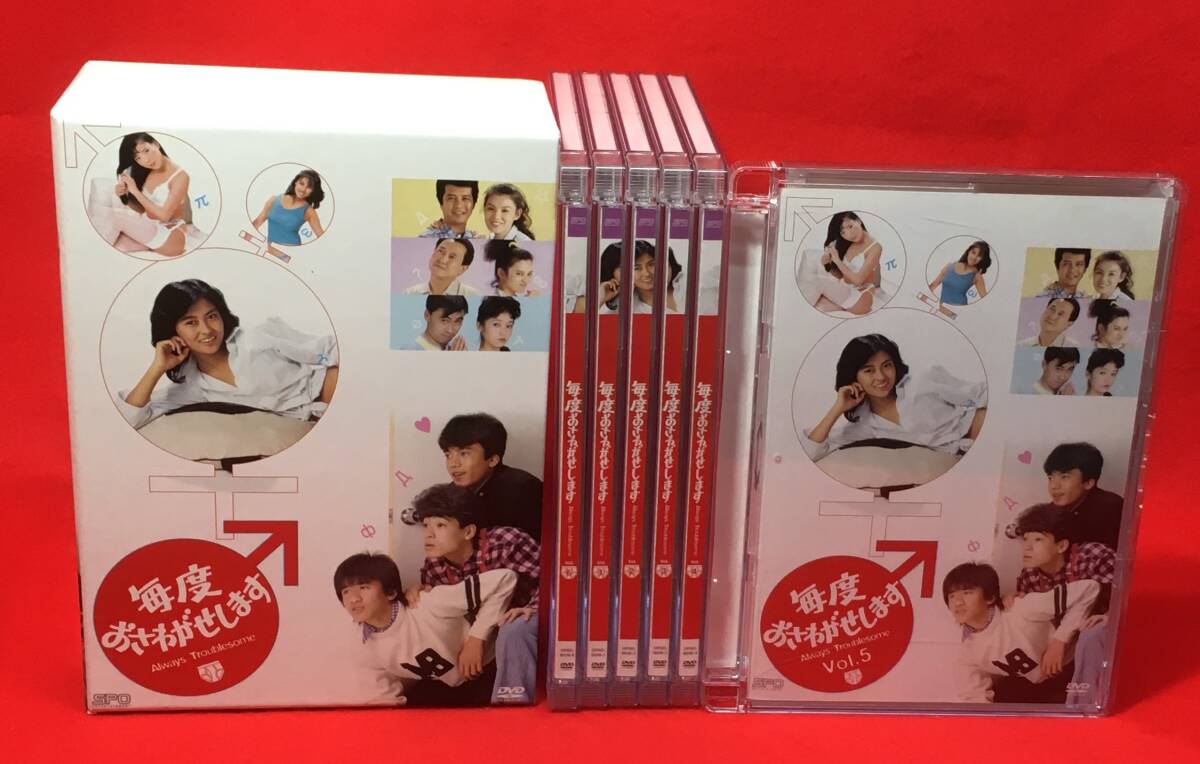 毎度おさわがせします+毎度おさわがせしますII DVD-BOX [DVD 毎度おさわがせします+毎度おさわがせしますII DVD-BOX [DVD
