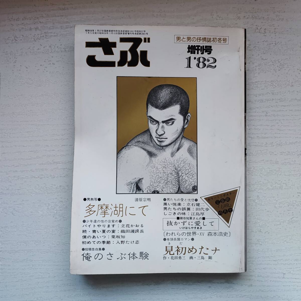 【雑誌】さぶ増刊号 NO.15 1982年1月 サン出版 ゲイ雑誌