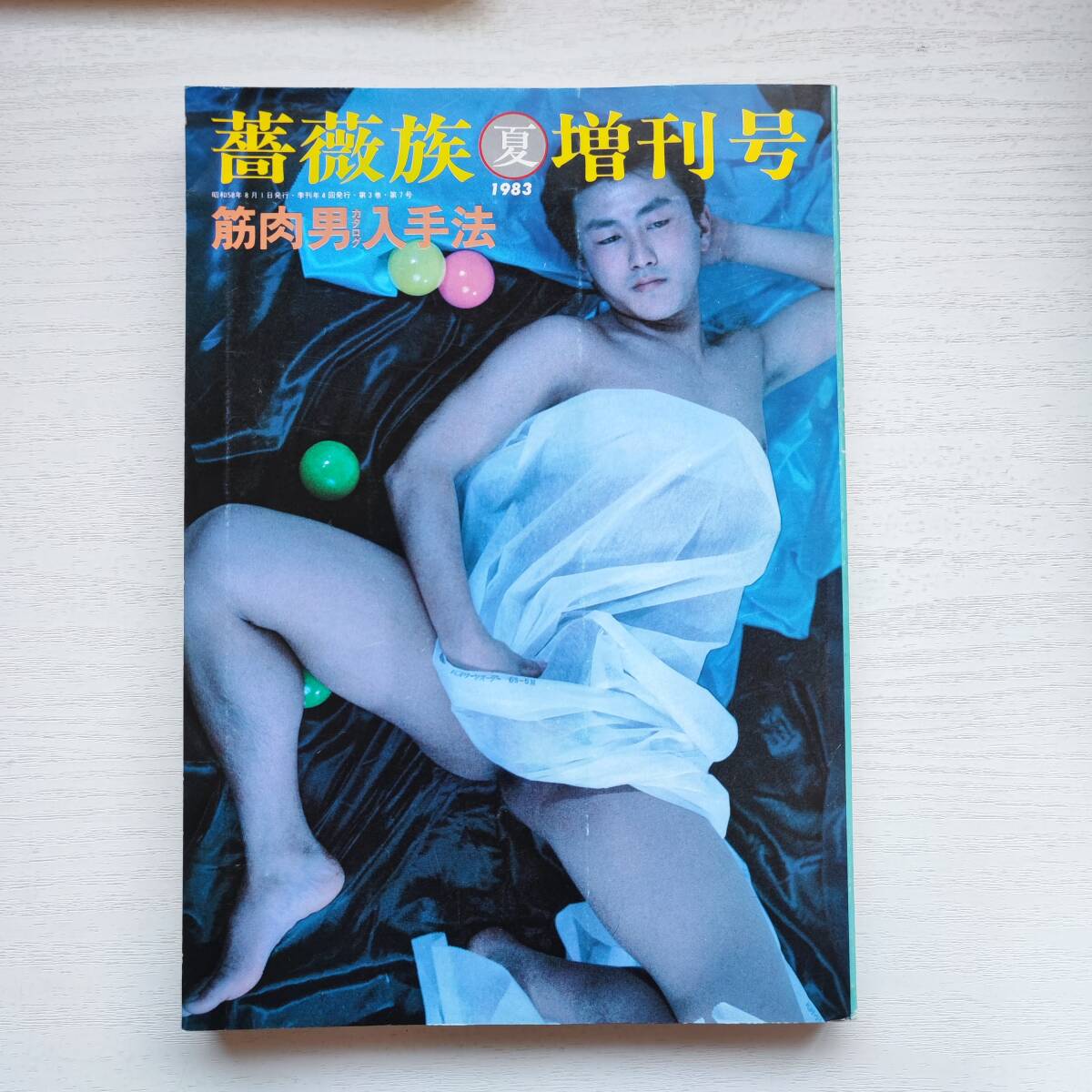 【雑誌】薔薇族 増刊号 夏 1983年8月 第二書房 ゲイ雑誌