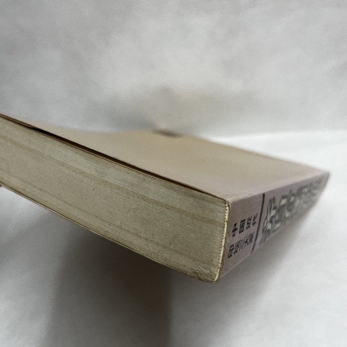斉白石 篆刻作品集 中国近代印壇三大家 中国書道 印譜 落款 印鑑 斉白石 篆刻作品集 中国近代印壇三大家 中国書道 印譜 落款 印鑑