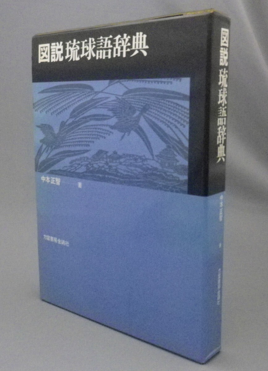 図説琉球語辞典 | 中本 正智 |本 | 通販 | Amazon