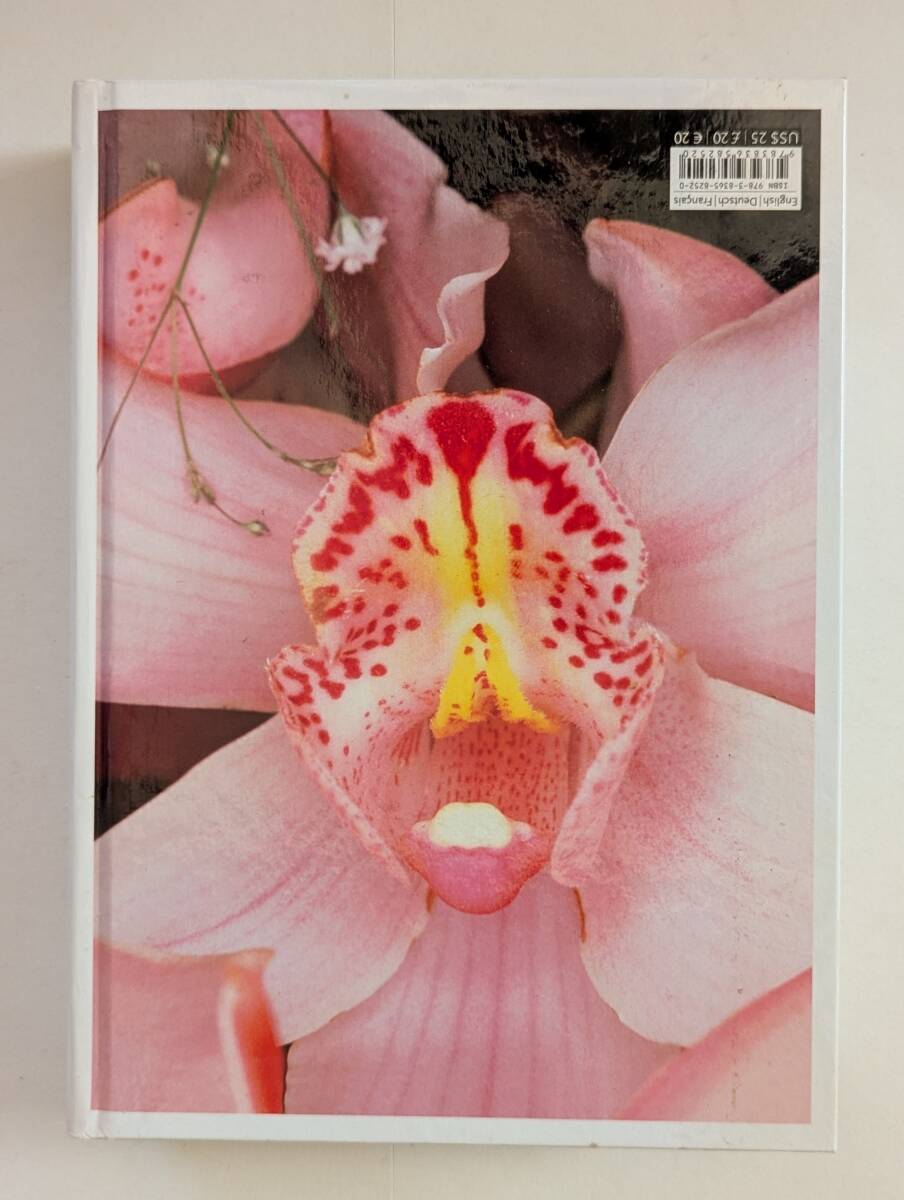 荒木経惟 Nobuyoshi Araki - ARAKI 【タッシェン】 TASCHEN 創業 荒木経惟 Nobuyoshi Araki - ARAKI 【タッシェン】 TASCHEN 創業