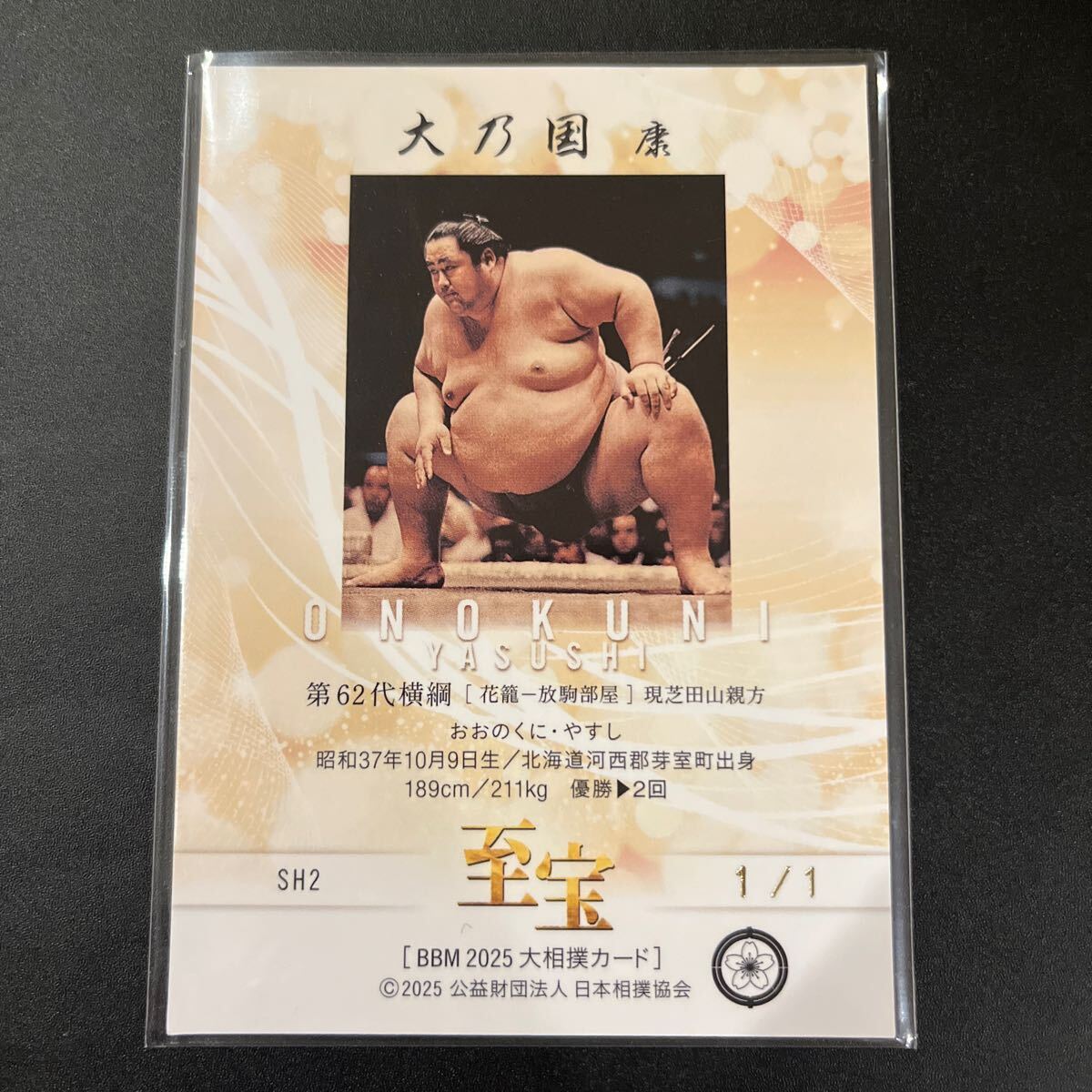 琴勇輝一巖】2021 ぎこちなく BBM wrestler【Kotoyki