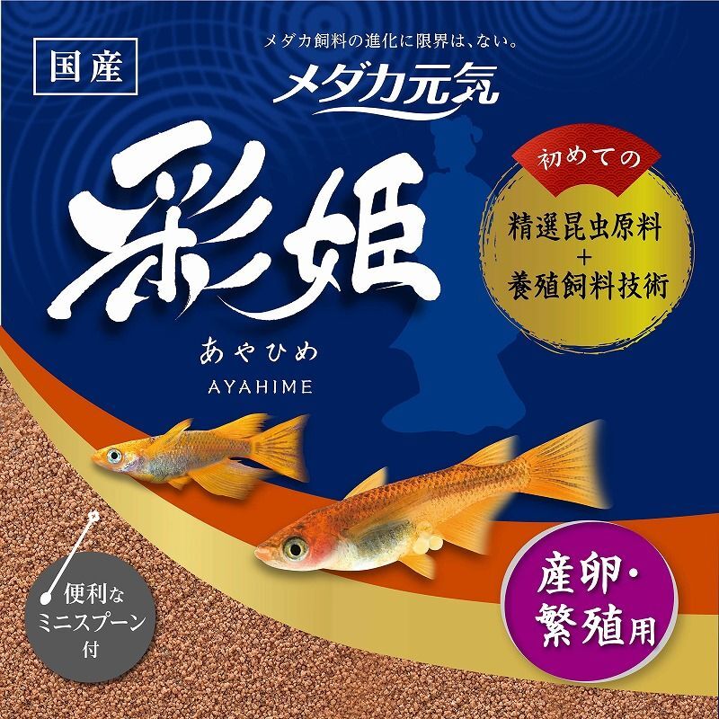 （まとめ買(mǎi)い）GEX（ジェックス） メダカ元?dú)?彩姫 産卵?繁殖用 40g 観賞魚(yú)用フード 〔×10〕