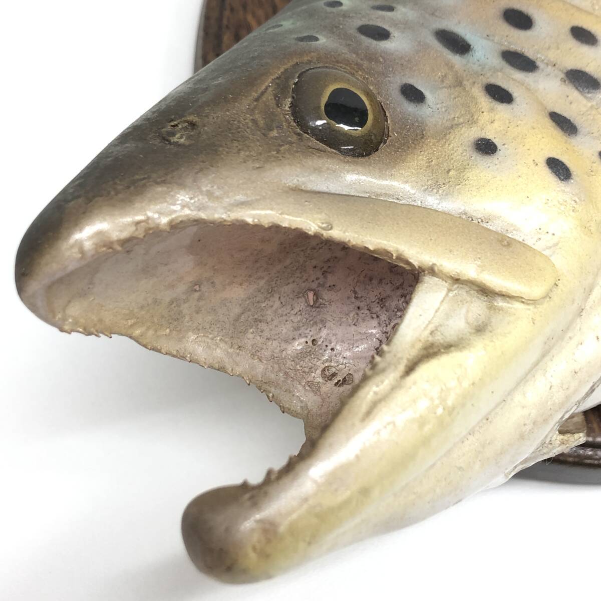 △【Brown Trout/ブラウントラウト】剥製 壁掛け 魚オブジェ 魚 △【Brown Trout/ブラウントラウト】剥製 壁掛け 魚オブジェ 魚