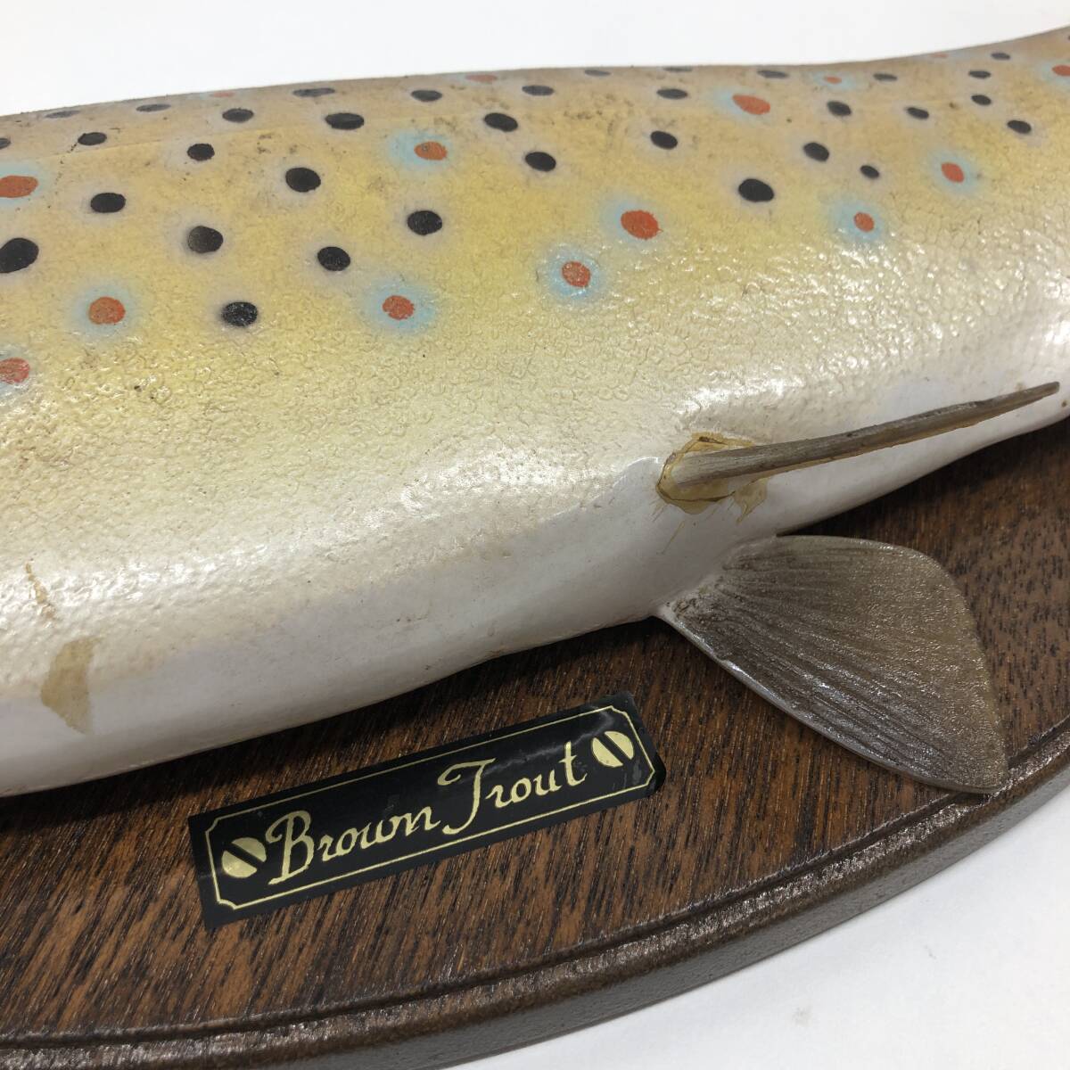 △【Brown Trout/ブラウントラウト】剥製 壁掛け 魚オブジェ 魚