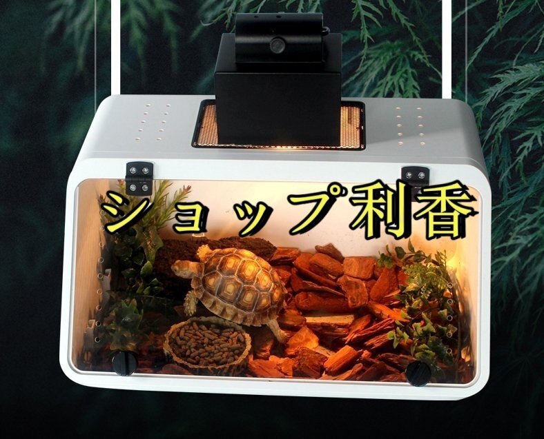 爬蟲(chóng)類(lèi)ケージ 飼育ケース 爬蟲(chóng)類(lèi)飼育箱 両生類(lèi)飼育容器 小動(dòng)物用 爬蟲(chóng)類(lèi)ボックス テラリウム カメ亀 トカゲ クモ サソリ ヤモリ 爬蟲(chóng)類(lèi)の家