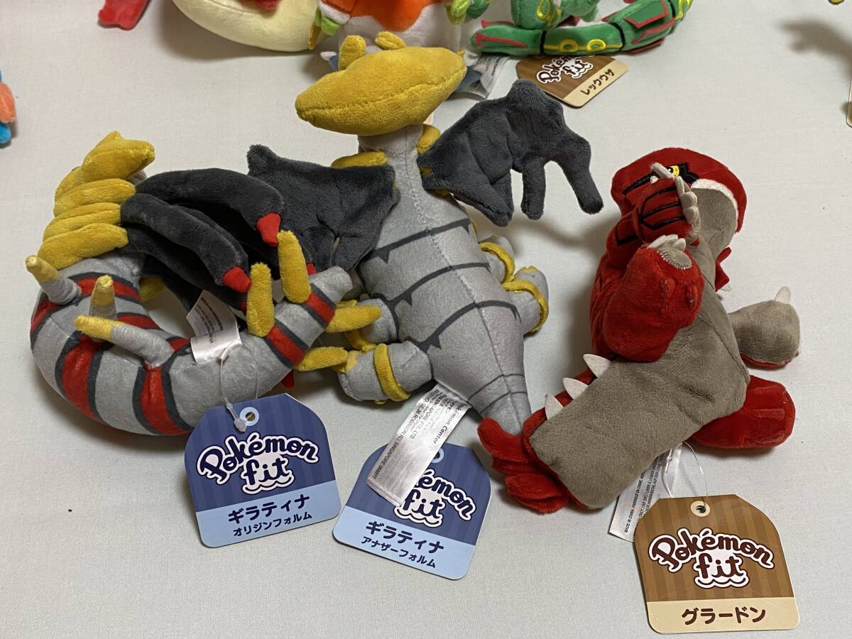 話題の行列 ポケモンセンター限定 ヘルガー まとめて 13個 fit Pokemon ポケットモンスター
