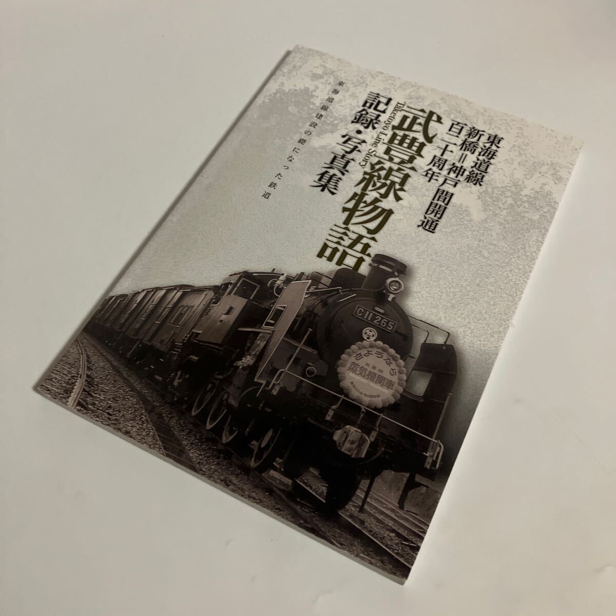 値下げ交渉可 鉄道書籍 武豊線物語(記録・写真集) 東海道線新橋 値下げ交渉可 鉄道書籍 武豊線物語(記録・写真集) 東海道線新橋
