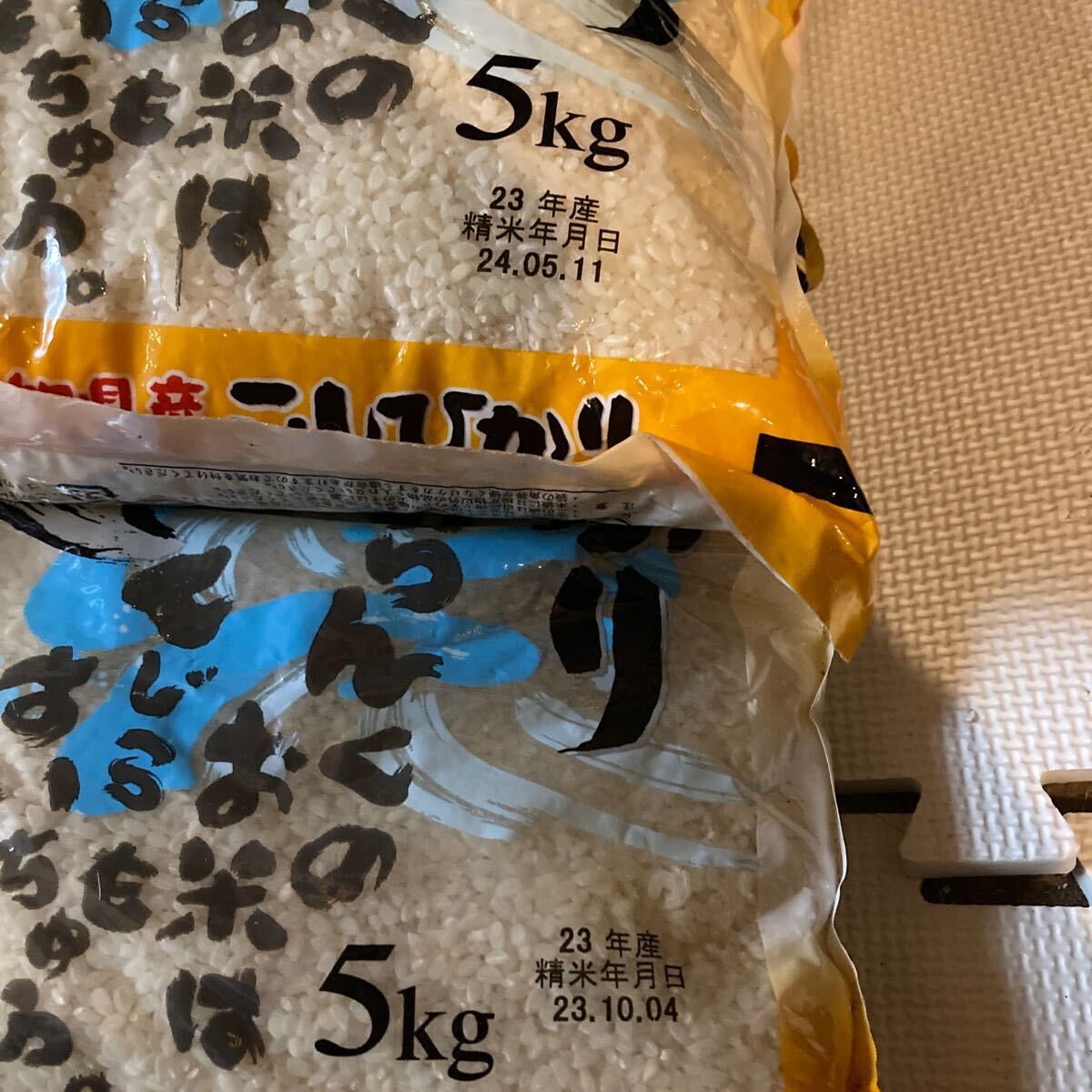 高知県産コシヒカリ 5kg×4袋 20kg 古米 23年8月精米 いかなる 高知県産コシヒカリ 5kg×4袋 20kg 古米 23年8月精米 いかなる