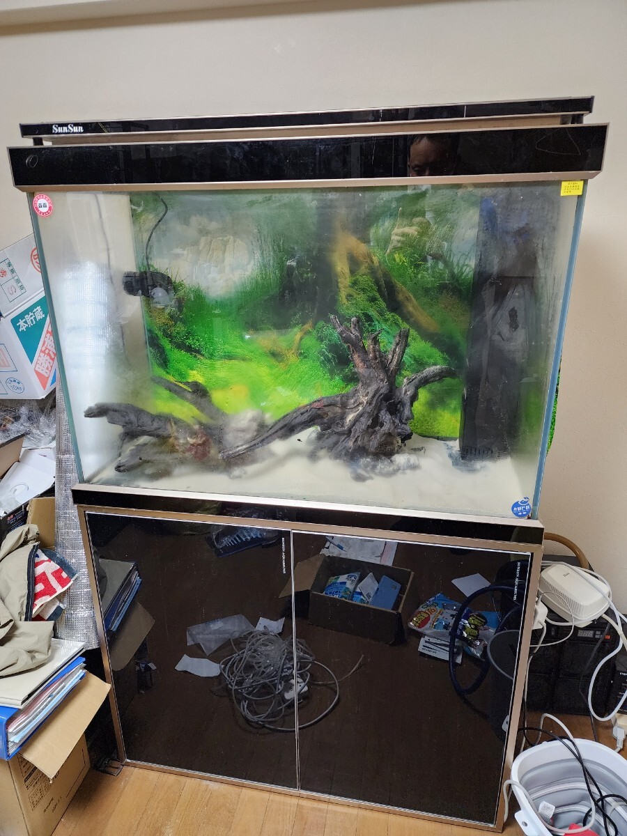 sunsun 水槽　AQUARIUMS　HLFF10W203　引き取り歓迎