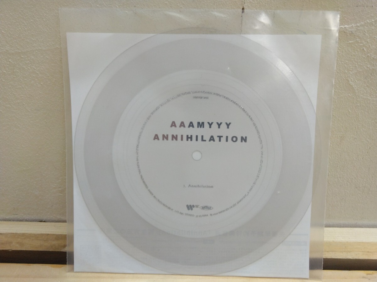 T62◆入手困難 初回特典ソノシート『AAAMYYY エイミー/ Annihilation 』シリアルコード付き Tempalay 250108