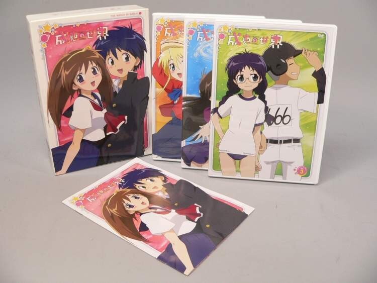 （DVD） 成恵の世界　ＤＶＤ－ＢＯＸ
