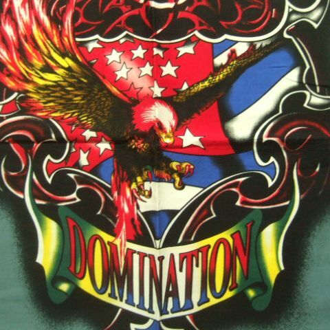  Yokohama новейший Eagle domine-shon! очарование. бандана EAGLE DOMINATION серый мужской женский включение в покупку 4 листов до стоимость доставки 180 иен ξ*Bξ ξ5
