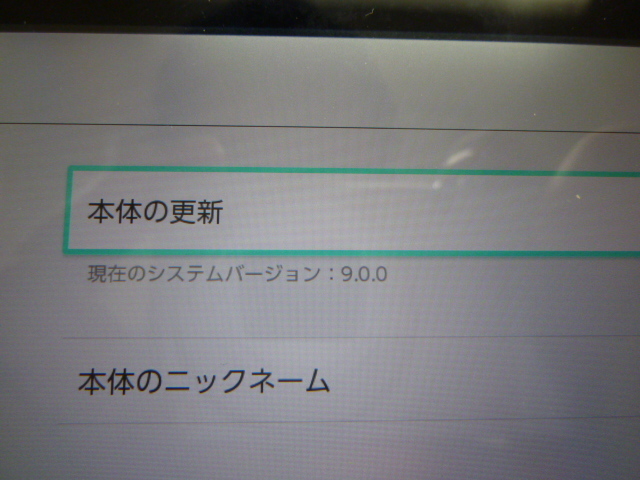 Nintendo Switch 本体 / 付属品完備 / 未対策機 Ver 9 0 0 Nintendo Switch 本体 / 付属品完備 / 未対策機 Ver 9 0 0