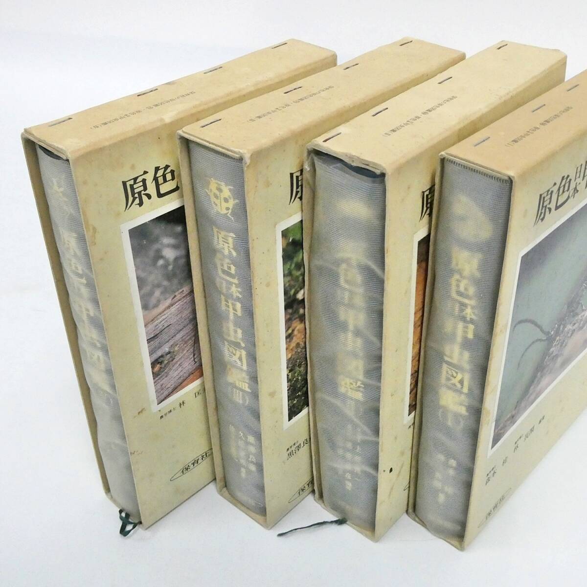 送料無料 通販 ファッション Ⅰ 4 3 2 1 セット 4冊 原色日本甲虫図鑑 Ⅱ 昆虫 書籍 Ⅳ Ⅲ 生物学