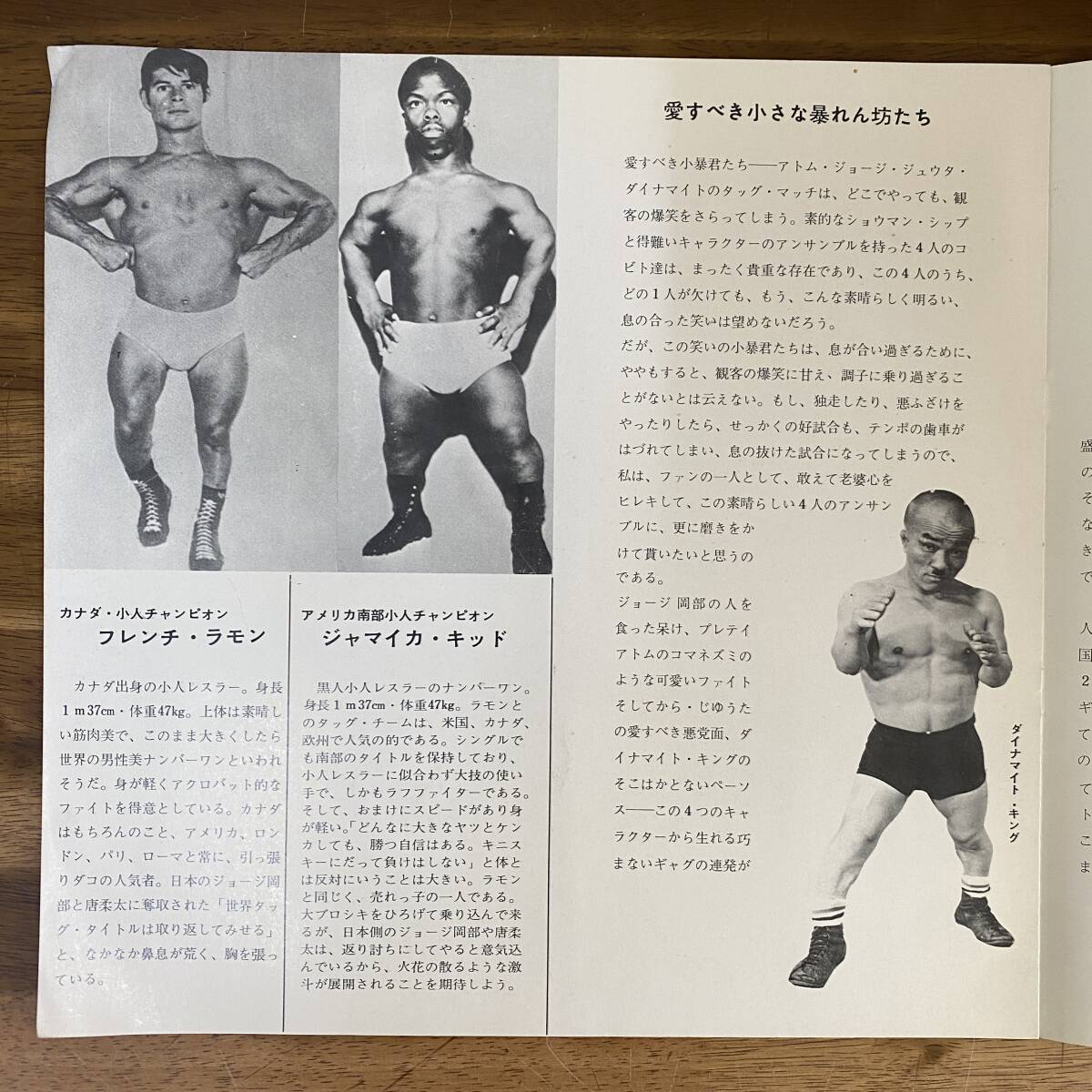半券付 女子・小人プロレス 1968年 全日本女子プロレスリング 半券付 女子・小人プロレス 1968年 全日本女子プロレスリング