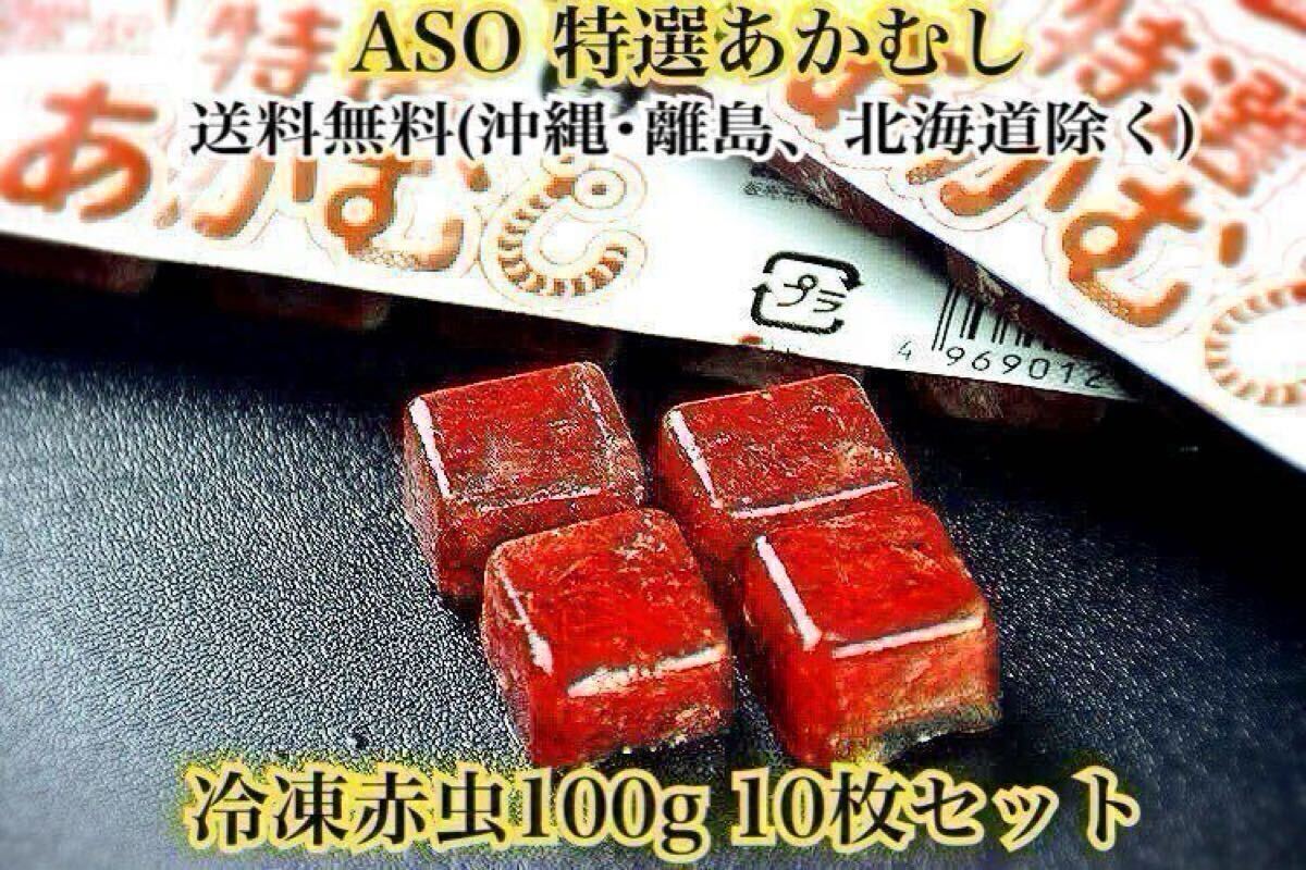 ASO特選あかむし 冷凍赤虫100g10枚セット