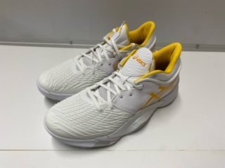 最安値に挑戦! 【未使用】asics/アシックス アンプレアルス 28.0cm バスケットボールシューズ LOW 1063A056-100 28.0cm