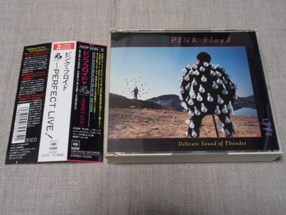 Pink Floyd PINK FLOYD - DELICATE SOUND OF THUNDER